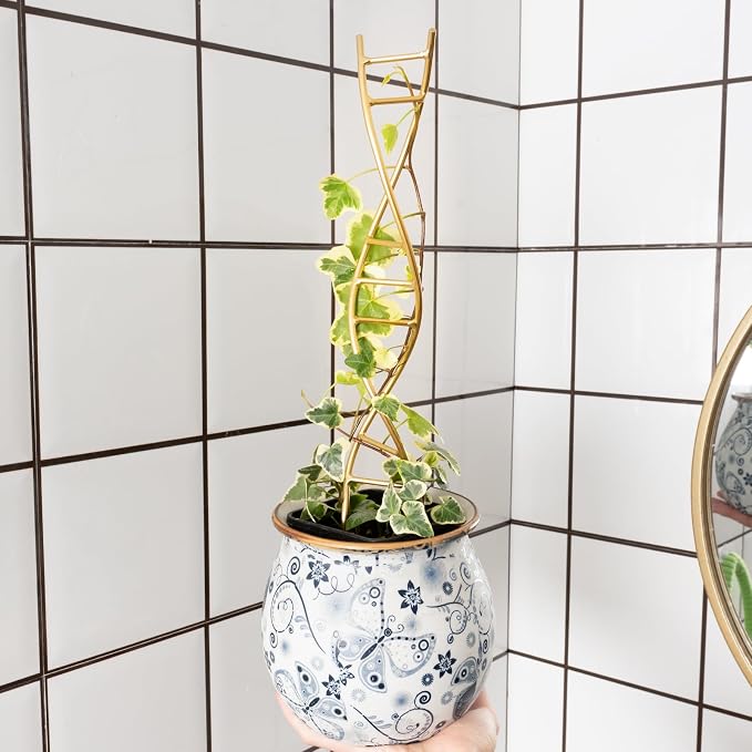 Yohsnor 3PCS DNA Plant Trellis Indoor and Outdoor - Lightweight Metal Trellis for Potted Plants, Hoya & Pothos Climbing Support, Artistic Geometric Design, Durable & Easy Installation