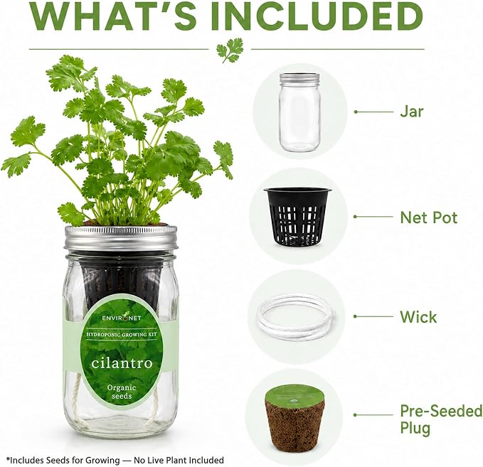 Hydroponic Herb Growing Kit, Self-Watering Mason Jar Window Herb Garden Starter Kit Indoor, Grow Your Own Herbs from Organic Seeds (Cilantro)