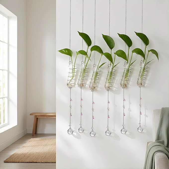 H&D HYALINE & DORA 6 Pcs Hanging Plant Propagation Station with Crystal Ball Prisms Suncatcher and Cleaning Brush, Glass Plant Suncatcher for Indoor Wall Plants Gifts for Plants Lovers(Silver)