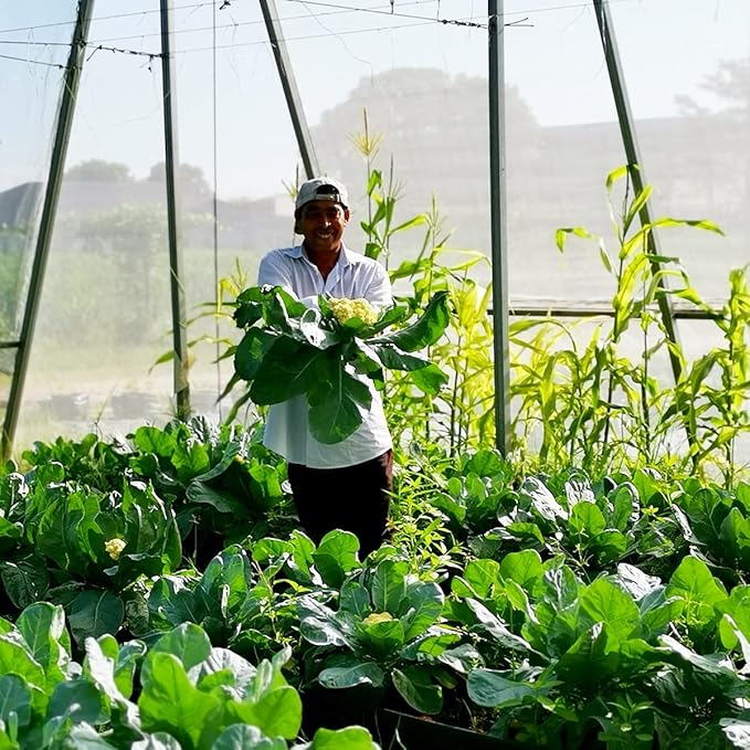 Garden Insect Netting Pest Barrier: 8'x25' Bug Netting for Garden Protection Mosquito Net Fine Mesh Cicada Tree Net Greenhouse Row Cover for Crops Plants Vegetables Flowers Fruits Silver