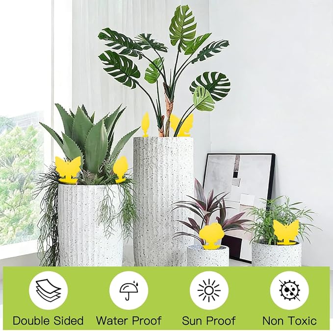 100 Pcs Sticky Traps for Fungus Gnat (Plants), Fruit Fly, Whitefly, and Fly, Yellow Sticky Insect Catcher Traps for Indoor/Outdoor, Kitchen, and Plants, High-End Glue, Non-Toxic (100 Pcs Yellow)