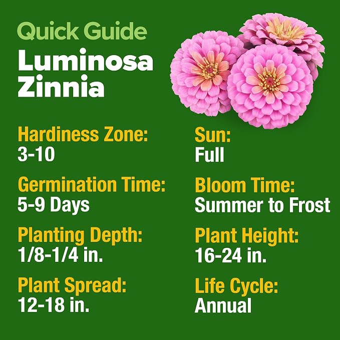 HOME GROWN Pink Zinnia Seeds – 1500 Luminosa Zinnias, Easy to Grow Annual Flower Seeds for Planting Outdoors for 2026, Fast Blooming, Heat Tolerant Herb Seed Garden Companion (Zinnia elegans)