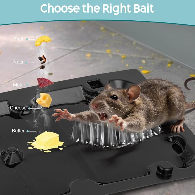 10 Pack Sticky Mouse Trap Rat Trap Indoor, Peanut Taste Pheromone Mouse Traps Indoor for Home, Glue Sticky Traps for Mice and Rats, Snake(Large Size)