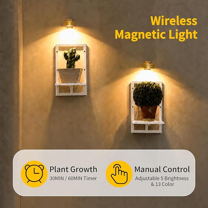 Wall Plant Holder with Grow Lights Set of 2 for Indoor Outdoor, Floating Flower Display Stand for Living Room, Bedroom, Bathroom, Kitchen, Entryway, White