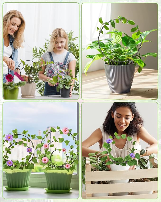 3 Pcs Different Sizes Metal Hoya Trellis, Small Round Indoor Plant Trellis for Potted Plants Climbing, Black Unique Houseplant Trellis for Vine Ivy Flower Plant Support
