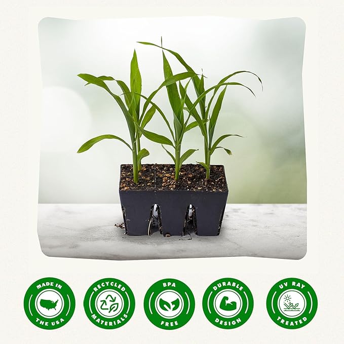 Epic Gardening: Eat Your Greens Seed Kit - 7 Heirloom & Non-GMO Varieties for Fresh Salads & 6-Cell/6 Seedling Starter Trays - Black: Plant Starter, Easy Growing, Eco-Friendly, Perfect for Beginners