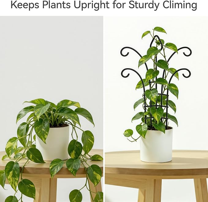 4 Pack Metal Small Plant Trellis for Potted Plants，Metal Indoor Plant Trellis for Climbing Plants，Black Mini Trellis Support with 5-Prong Base & 50 Ties, for Pothos Hoya Ivy, Gift for Plant Lovers