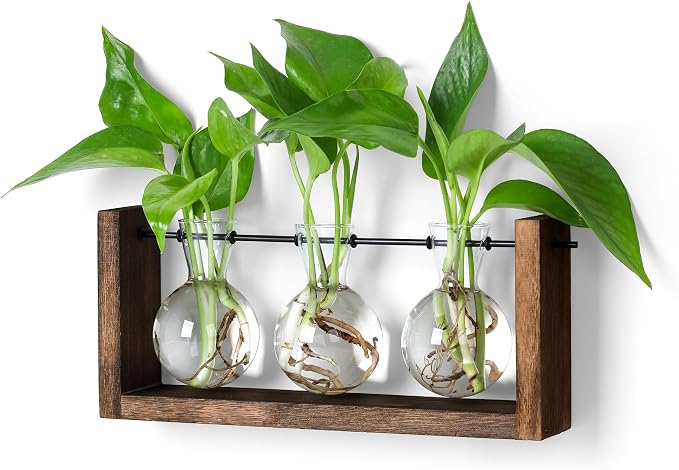 YIBOT Wall Hanging Planter Propagation Station 3 Bulb Glass Flower Vase | Plant Terrarium with Wooden Stand, Hydroponics Plants, Bathroom, Home Office Living Room Decor Gift