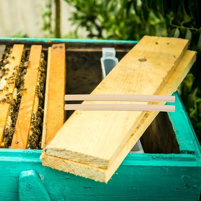 Angoily Natural Reed Bee Tubes 100 Pack 5.90 Inch Mason Bee House Tubes for Pollination Breeding and Replacement Refill Tubes