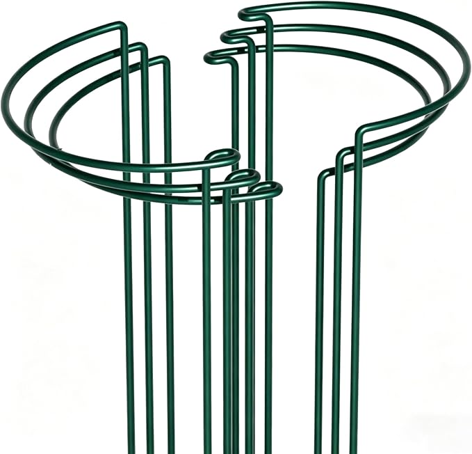 6 Pack Peony Cages and Supports, 10" (W) x 24"(H) Plant Support, Rust-Proof Metal Plant Support Stakes for Outdoor&Indoor Plants