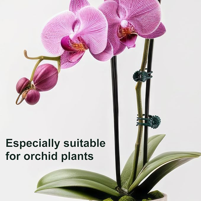 OIIKI 60pcs Orchid Clips for Plants Support, Plant Orchid Support Clips, Vine Tools Supports for Garden Climbing Stems Vines Climbing Plants- Dark Green