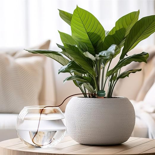 Blumat Classic Self-Watering Stakes - Prevents Overwatering and Underwatering for Healthy Growth While You are Away - Ideal for Indoor Plant Watering, 12 Pack, w Adapter