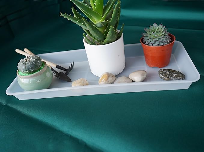 VUWEZ 2 Pack of Plastic Plant Tray Saucer Rectangular, Plant Trays Saucers for Indoors Outdoor, Plant Water Drip Tray for Flower Pot Planter, Windowsill Plant Tray (6.5 X 13 Inch, Clear)