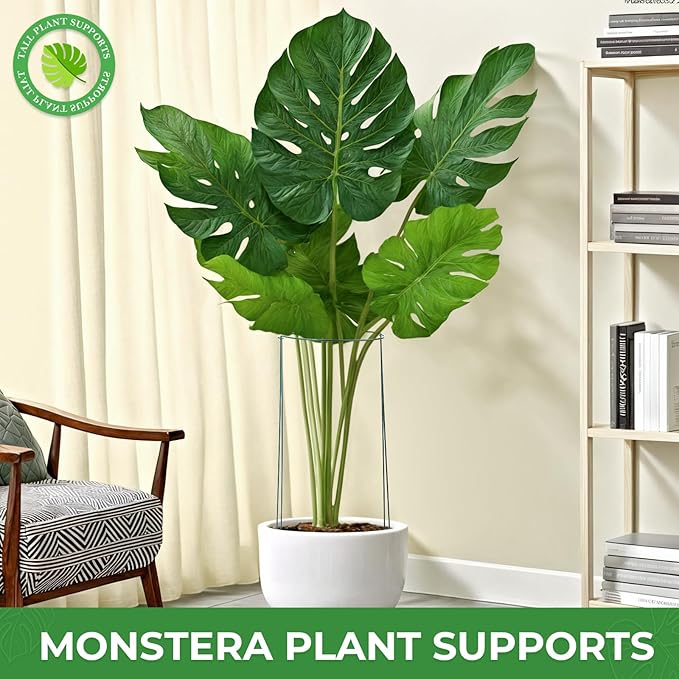 LEOBRO Plant Support Plant Stakes, 6pcs Peony Cages and Supports, Metal Garden Stakes Plant Supports, Plant Support Stakes, for Peony, Tomato, Hydrangea, Indoor Outdoor Plants, 10" W x 24" H