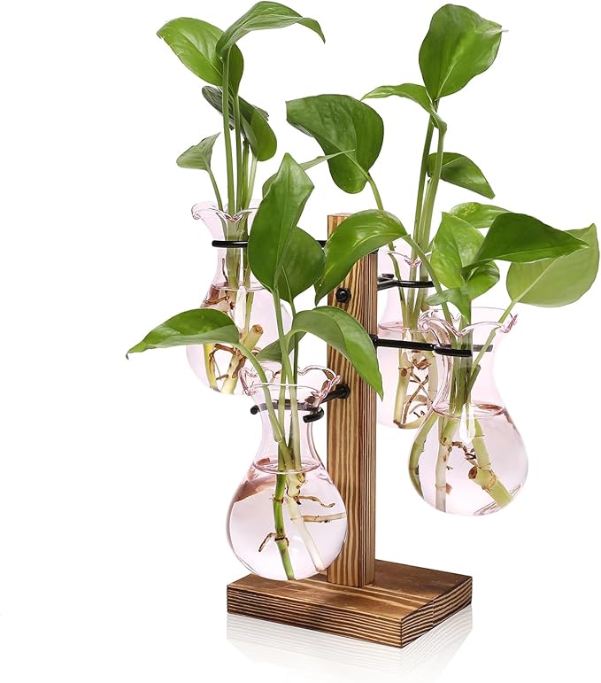 Plants Propagation Stations Bulb Glass Propagation Birthday Gift for Women Garden Plant Lovers - 4 Bulb