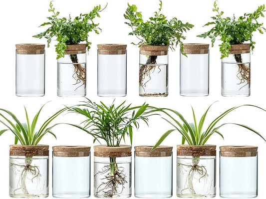 Plant Propagation Stations for Plants, 2 Size Glass Propagation Vases for Propagating Hydroponic Indoor Home Office Decor, Tabletop Glass Planter Gift for Plant Lovers (12)