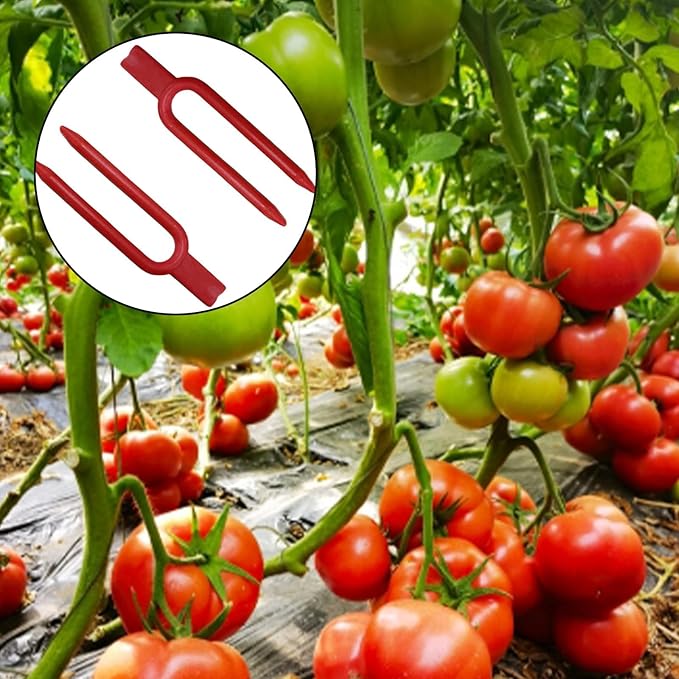 200PCS Plant Pins Set – Strawberry Plant Support, Reusable Plastic Stolon Fastener, Vines Clamps, Garden Fork & Watermelon Fork for Farming, Gardening & Vine Securing