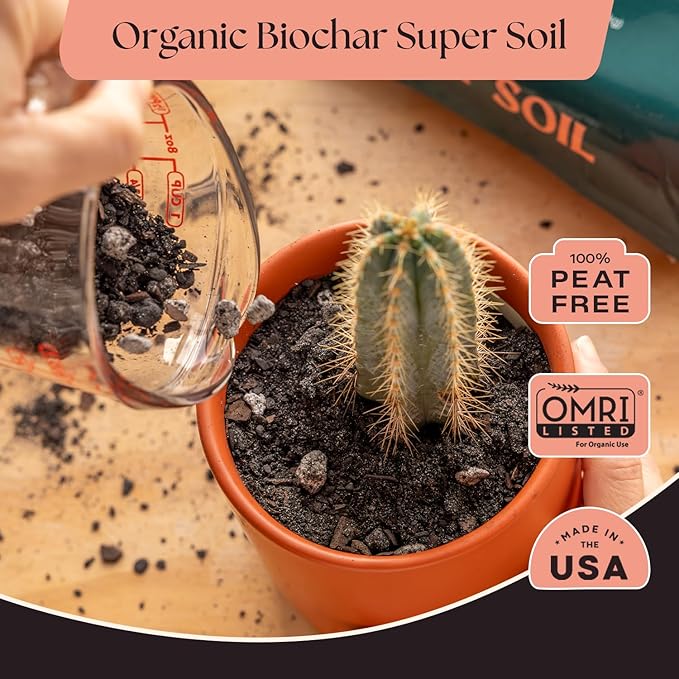 Rosy Soil Cactus Soil – Organic Succulent Potting Mix, Chunky Fast Draining, Peat-Free, Root Boosting Mix for AloeVera, Cacti, Indoor Succulents - 4qt