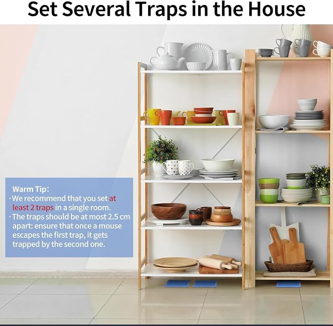 LULUCATCH Mouse & Insect Traps 20 Pack, Heavier Sticky Traps with Non-Toxic Glue for Small Mice & Insects. Sticky Mouse Traps Indoor for Home, Easy to Set