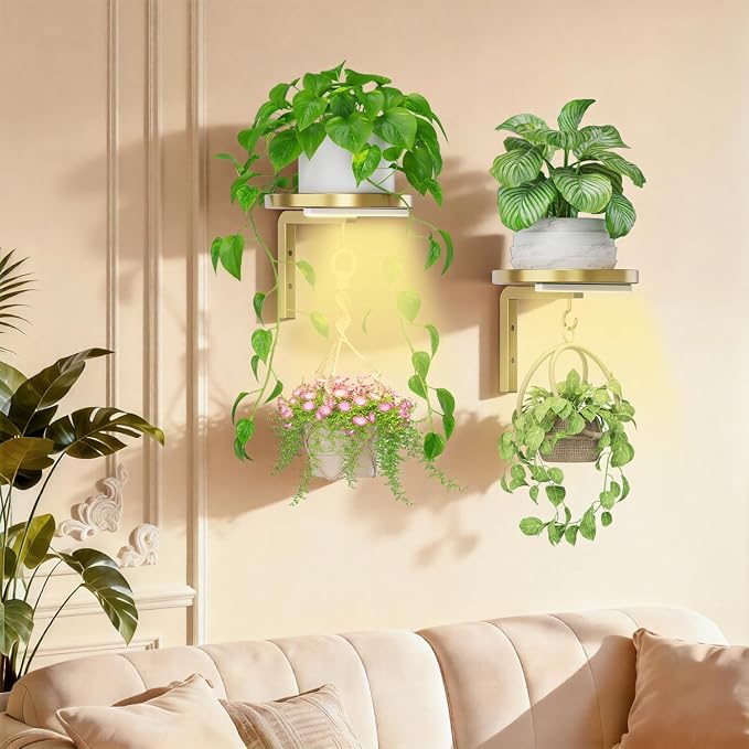 iDavosic.ly Wall Plant Holder with Grow Lights Set of 2 for Indoor Outdoor, Metal Hanger with 2 Hooks, Floating Flower Display Stand for Window, Space Saving & Easy to Assemble (Pots Not Included), Gold