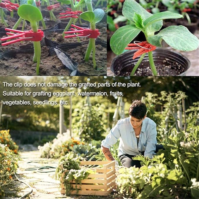 Suxgumoe Plants Graft Clips, 100PCS Plastic Round Mouth Grafting Clips Gardening Tool for Cucumber Eggplant Tomato Watermelon