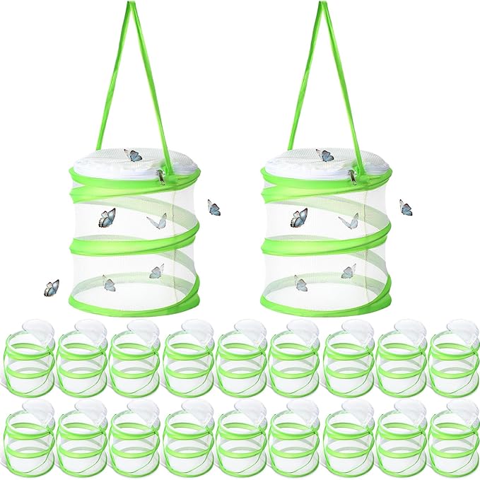 Sherr 20 Pcs Mini Butterfly Habitat Cage Clear Mesh Butterfly Net Cage Container Foldable Terrarium, 6.2x7.1inch (Green)