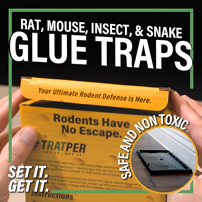 TRATPER Glue Traps for Mice,Rat,Mouse,Snake,Lizard,Insect. 6 Pack. Extra Strength,Pre-Baited Adhesive.Heavy Duty Plastic Tray.Non-Toxic,Chemical-Free Pest Control for Home. 6Pack