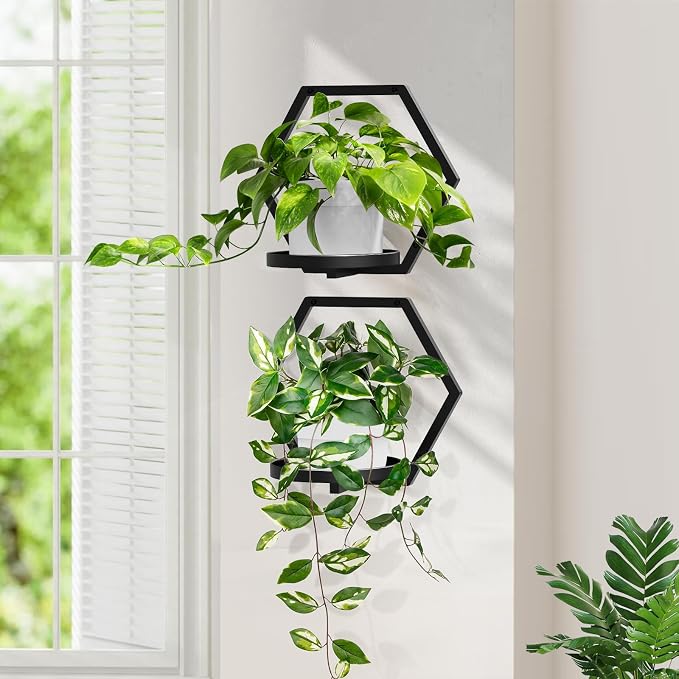 3 Packs Wall Planters for Indoor Plants, 7.9inch Metal Wall Plant Holder Hanger Wall Decor, Wall-Mounted Hanging Planters Window Plant Shelves Outdoor (Classic Black)