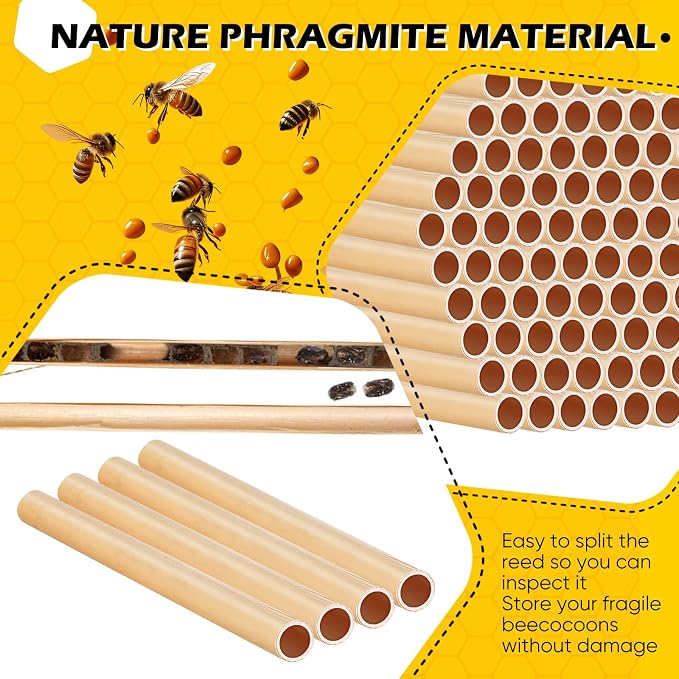 Tinideya 250 Pcs Phragmite Reed Mason Bee Tubes Set Bee Hotel Nest Box Pollinator Bee Box for Mason Bee Houses Natural Phragmite Bee Nest Bees Supplies Refill Your Mason Bee House Bee Hive