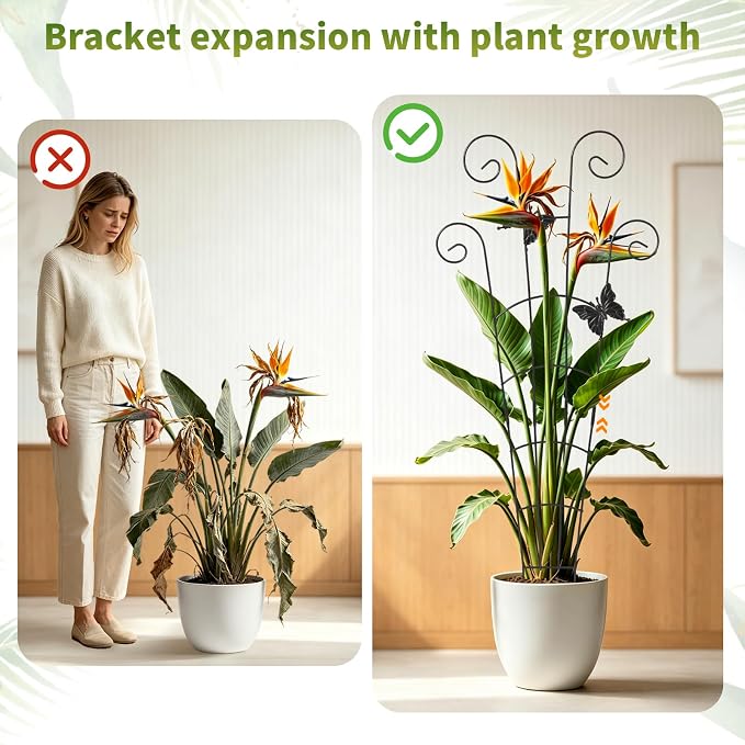 2 Pack 30 Inch Metal Plant Trellis for Indoor Outdoor Climbing Plants, Easy Assembly with Adjustable Height, Unique Design for Monstera Pothos Hoya, Small Garden Trellis for Pots
