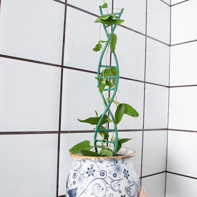 Yohsnor Indoor Plant Trellis for Potted Plants - Upgraded Metal Spiral Design for Climbing Plants, Durable Powder Coated Support for Small Houseplant Pots, Ideal for Indoor & Outdoor Use