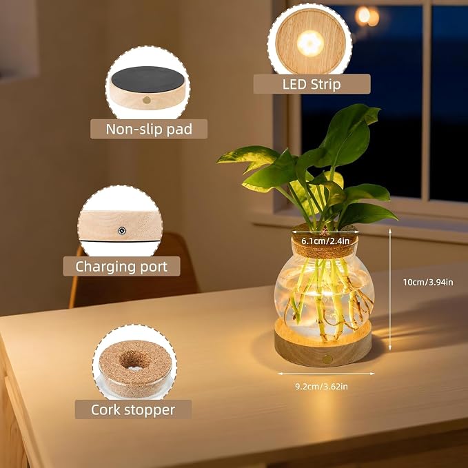 Plant Propagation Station with Light,Everkeen Glass Terrarium with Stepless Dimming Function Hydroponic Glass Container Vase Jars Gardening Gifts for Mom Women Plant Lovers 4 Pack