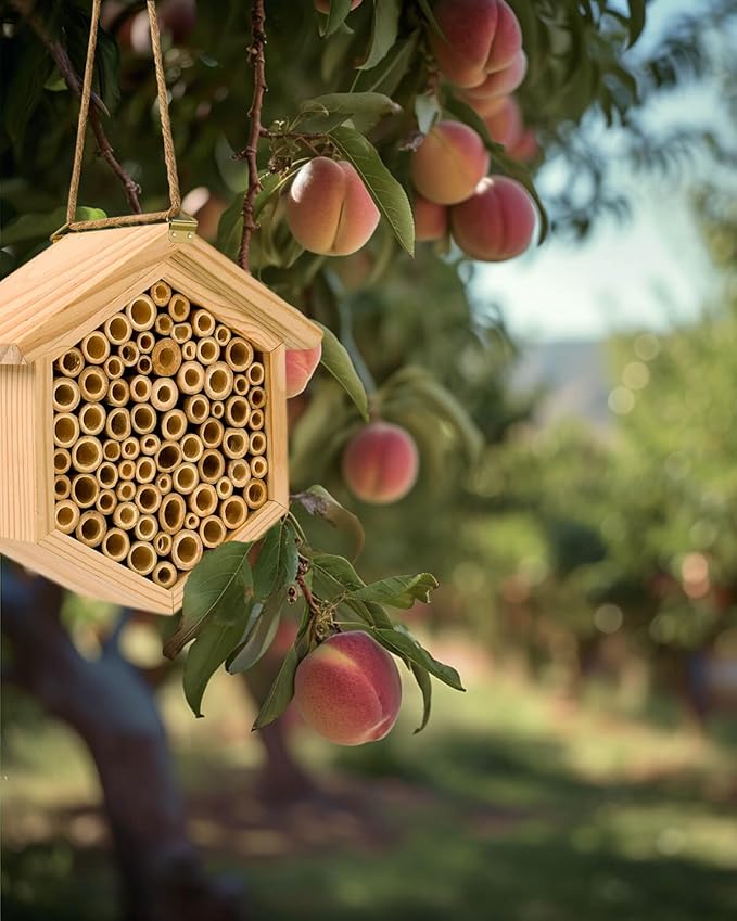 vensovo Mason Bee House - Natural Bamboo Bee Habitat Hotel for Carpenter, Pollinating, Leaf Cutter Bees