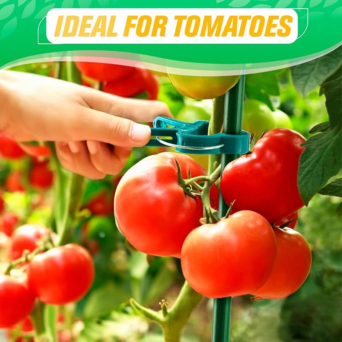 60 Pcs Garden Clips for Tomatoes in 2 Sizes (20 Large / 40 Small) - Plastic Tomato Clips for Garden with Reinforced Spring for Vines, Reusable and Waterproof - Suitable for Vegetables and Flowers