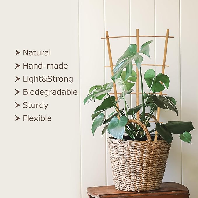 Cambaverd Plant Trellis Indoor 6 Pack Bamboo Trellis with Twist Ties, 16in Fan-Shaped Plant Trellises for Potted Plants Hoya Vines Monstera Houseplants