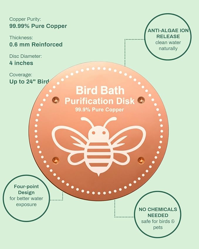 Bird Bath Purification Disc Pure Copper Backyard Outside Solar Power Wild Hummingbird Pedestal Fountain Cleaner Outside Feeder Cage Dispenser Heater Outdoor Railing Glass Concrete Gifts Rose