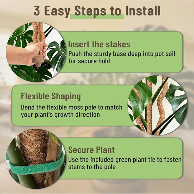 3-in-1 Moss Pole Monstera, Bendable Plant Support, 29.9Inch Moss Poles for Climbing Plants, Plant Stakes for Indoor Plants, Plant Support for Monstera, Pothos - 1 Pack
