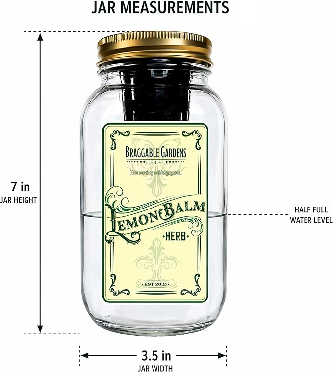 Lemon Balm Indoor Herb Garden Kit – Mason Jar Hydroponic Grow Kit – Windowsill Countertop Herb Planter – Grow Fresh Lemon Balm Indoors