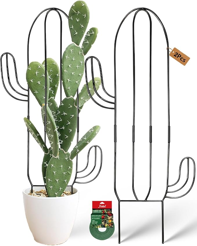 Plant Trellis for Climbing Plants Indoor, Cactus Trellis for Potted Plants, Pothos Hoya Monstera Metal Houseplant Climbing Support for Garden Balcony, 2P