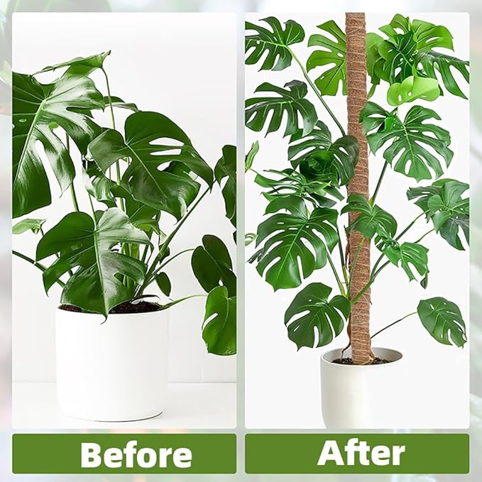 Supoice Moss Pole 63 Inch Bendable Monstera Plant Support for Climbing Plants Indoor Coir Plant Pole Sticks, Brown