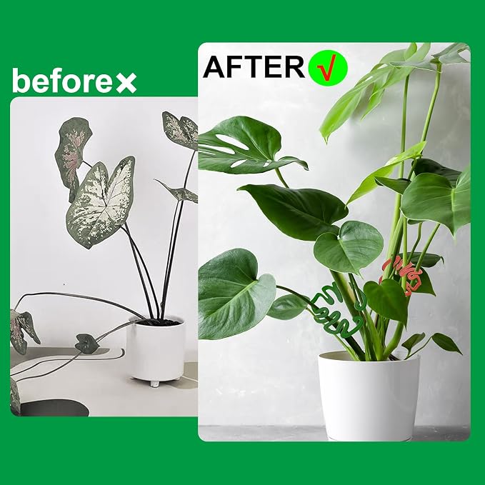 2PACKS Unique & Aesthetic Monstera Leaf Shape Grapple Plant Support, Grappler Rings, Plant Support Monstera with Ties, Keeps Plants Tame & Growing Vertical (Green)