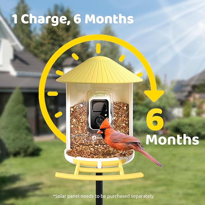 NETVUE by Birdfy Smart Bird Feeder with AI Camera, Auto Capture Videos & Live Steam, Wireless Wildbird Watching, Outdoor Backyard Birder(AI by Subscription) Yellow