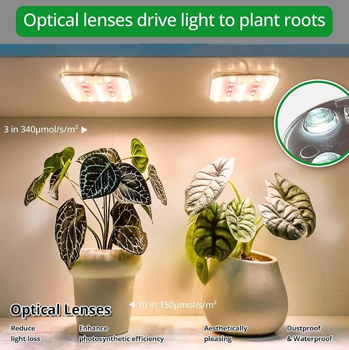 Full Spectrum LED Grow Light for Indoor Plants, 2 Panels 10W with 6/12/16h Timer Dimmable Plant Lights for Flower Veg Plant Growth USB, Warm White, 2-Pack