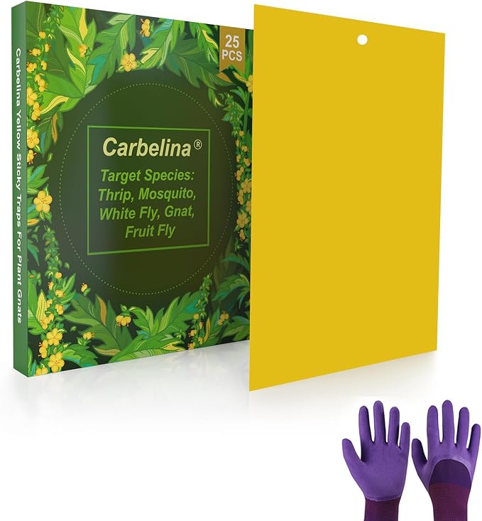 Gnat Sticky Traps for Plants -25 PCS + Kids Gardening Gloves - Fungus Gnat Traps for Indoor Plants, Non-Toxic Yellow Bug Sticky Traps for Houseplants, Garden & Kitchen -Kids Garden Gift Set