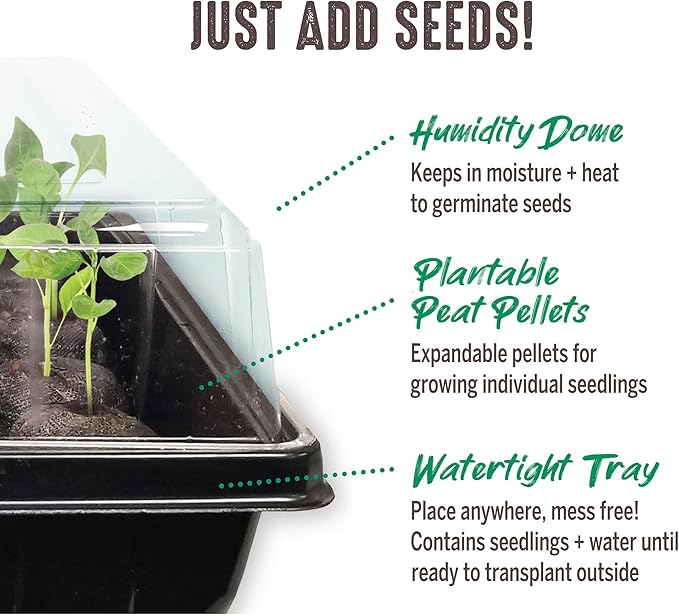Jiffy Plant Germination Tray Kit - 72 Cell Seedling Starter Trays, SUPERthrive, Labels - 2 Pack, 144 Pellets Total - Plastic