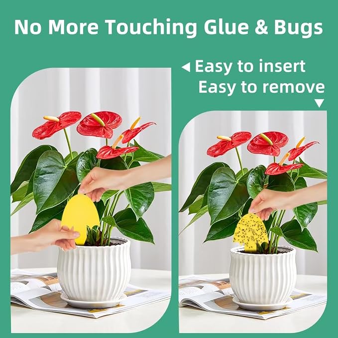 36 Pcs Umbrella Sticky Traps for Fungus Gnat, Flying Insect, Whitefly and Fly, Yellow Sticky Insect Catcher Trap for Indoor/Outdoor, Kitchen, and Plants, High-End Glue, Pro-Grade 0.50mm Thick, 4 Shape
