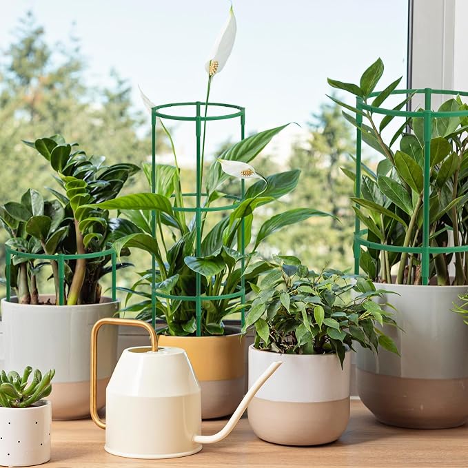 36 Packs Plant Support Stake, Half Round Stackable 3 Tier Garden Flower Support, Plant Stakes for Indoor Outdoor Plants Tomato,Monstera, Peony, Hydrangea, Climbing Plants