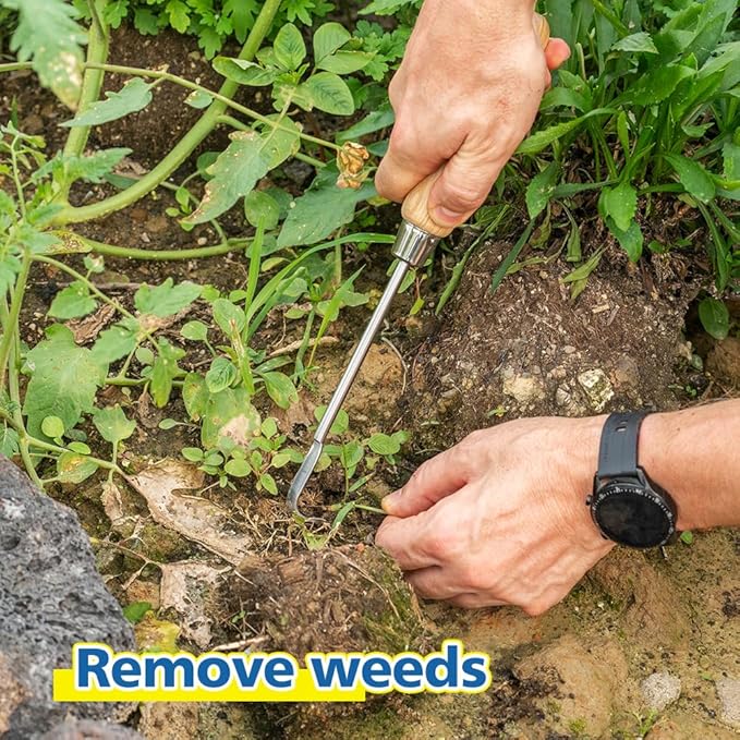 Berry&Bird Garden Hook Weeder, L-Shape Single Claw Hook Crack Weeder for Crevice Weeding and Soil Loosening, Garden Digging Cultivator Weed Remover Tool for Patio Lawn Yard Moss Terrace Paving