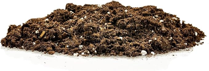 GARDENERA Money Tree Potting Soil Mix for Planting or Repotting Guiana Chestnut, Soil Blended to Properly Grow Money Tree Plants (4 Quart Bag)