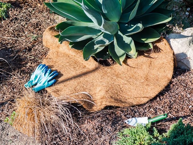 Envelor 12 pcs Coconut Fibers Mulch Ring 36 Inches Tree Protector Mat Coconut Mulch Cover Natural Coconut Fiber Weed Control Rings, Tree Ring Plant Cover for Indoor Outdoor Plants, Pot, Landscaping